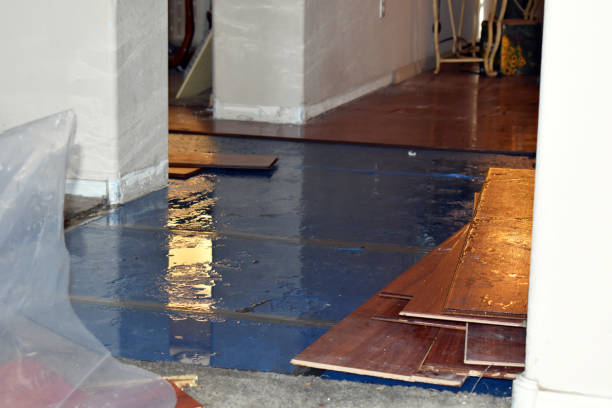 Professional Water Damage Restoration technician working in Whiteville, TN